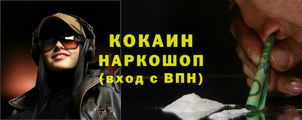 СК Алексин