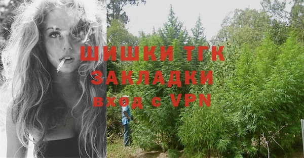 МДПВ Нея