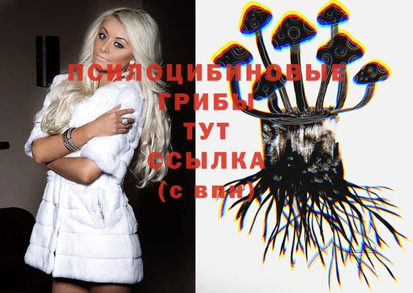 МДПВ Нея