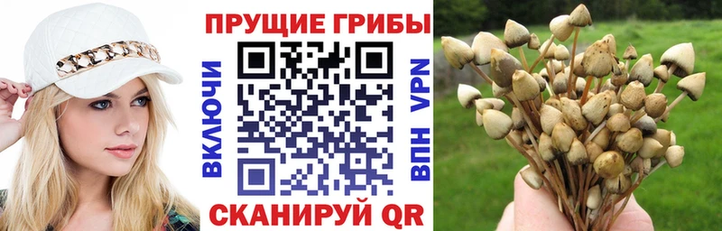 Галлюциногенные грибы MAGIC MUSHROOMS  Сухой Лог 